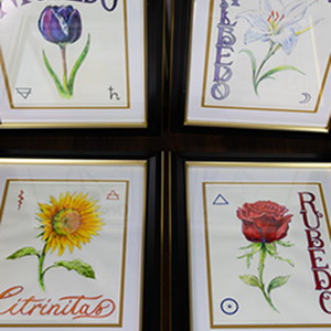 Alchemical Quadriptych